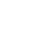 Military badge