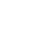 General Fund Icon