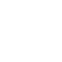 General Fund Icon